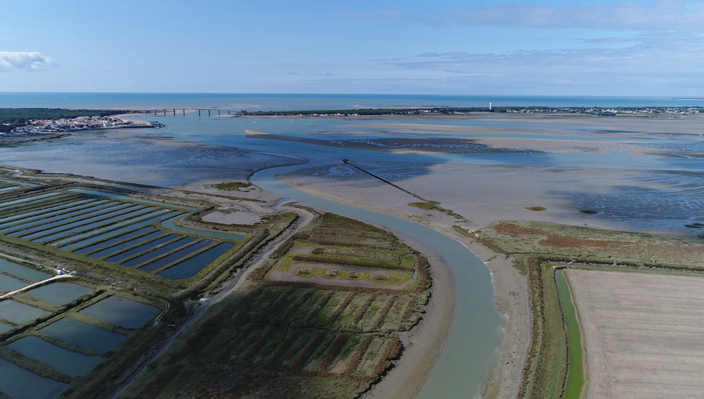 LOCATION VACANCES APPARTEMENT – situé à 50m de la plage – EN TOUTE TRANQUILLITE