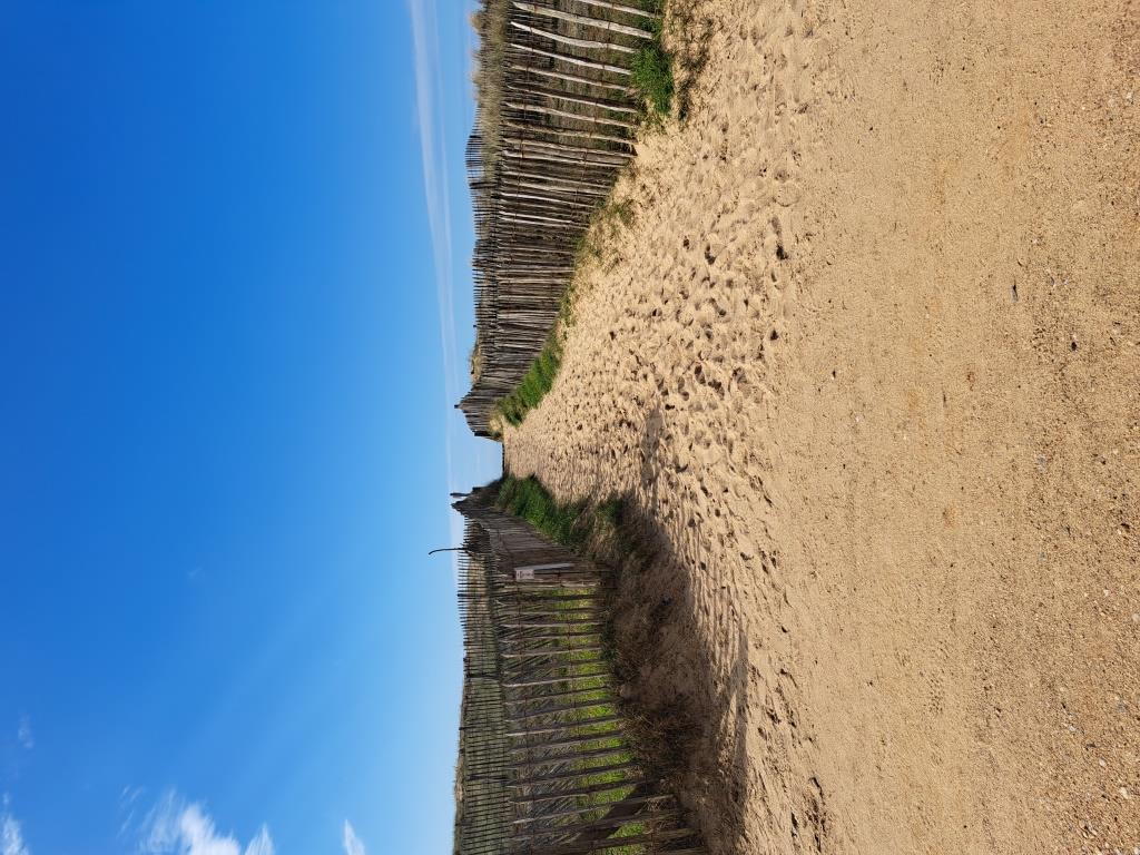 Logement face océan 4/6 personnes vue imprenable sur la dune et l’océan