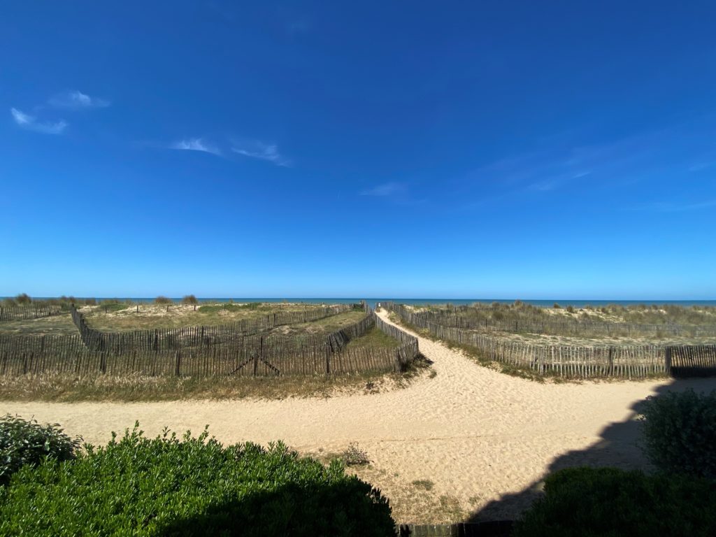 Logement face océan 4/6 personnes vue imprenable sur la dune et l’océan