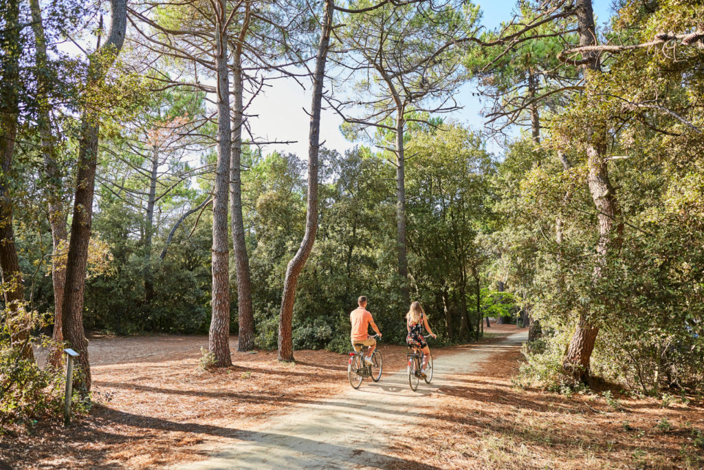 LOCATION VACANCES MAISON SPACIEUSE ET AU CALME 300M DE LA PLAGE DE DEMOISELLES